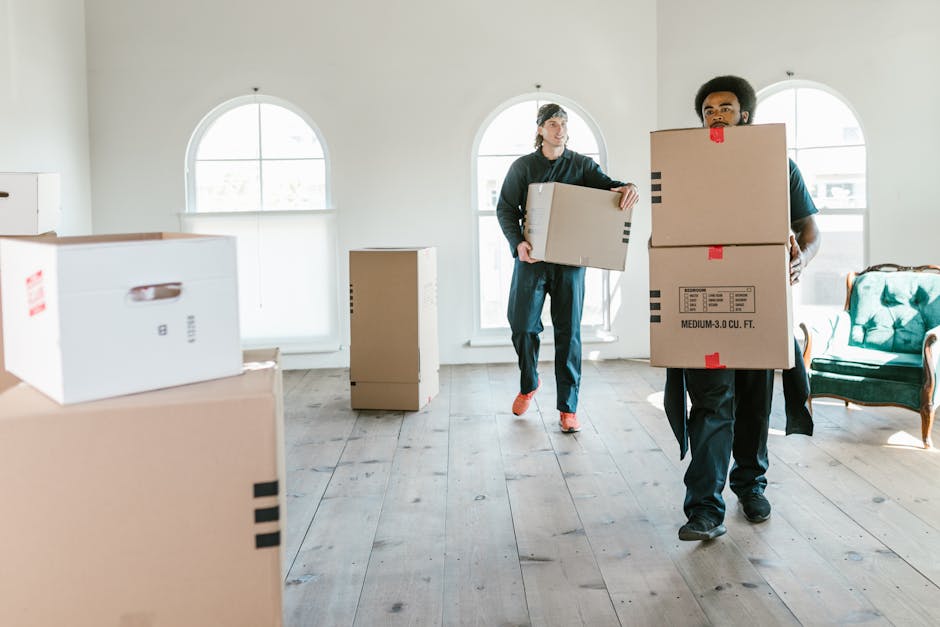 DIY versus professional removals what to choose for your move